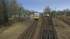 2026-06-05-082954.jpg